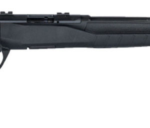 Savage Arms 70800 B17 F Bolt 17 HMR 10+1 Cap 21" Matte Blued Rec/Barrel Matte Bl